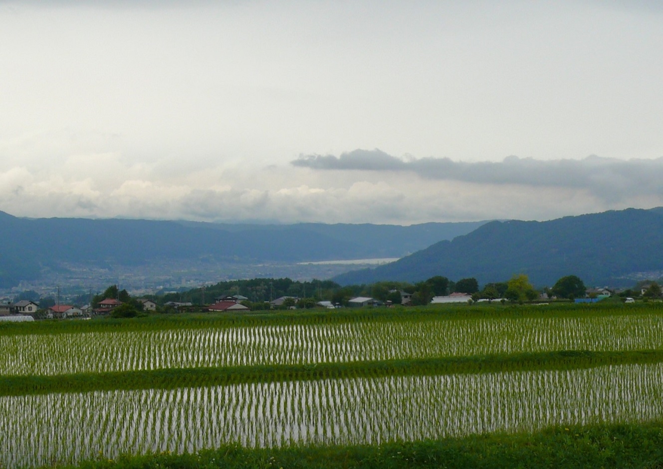 http://www.alpico.co.jp/shikinomori/news/images/P1420700.JPG