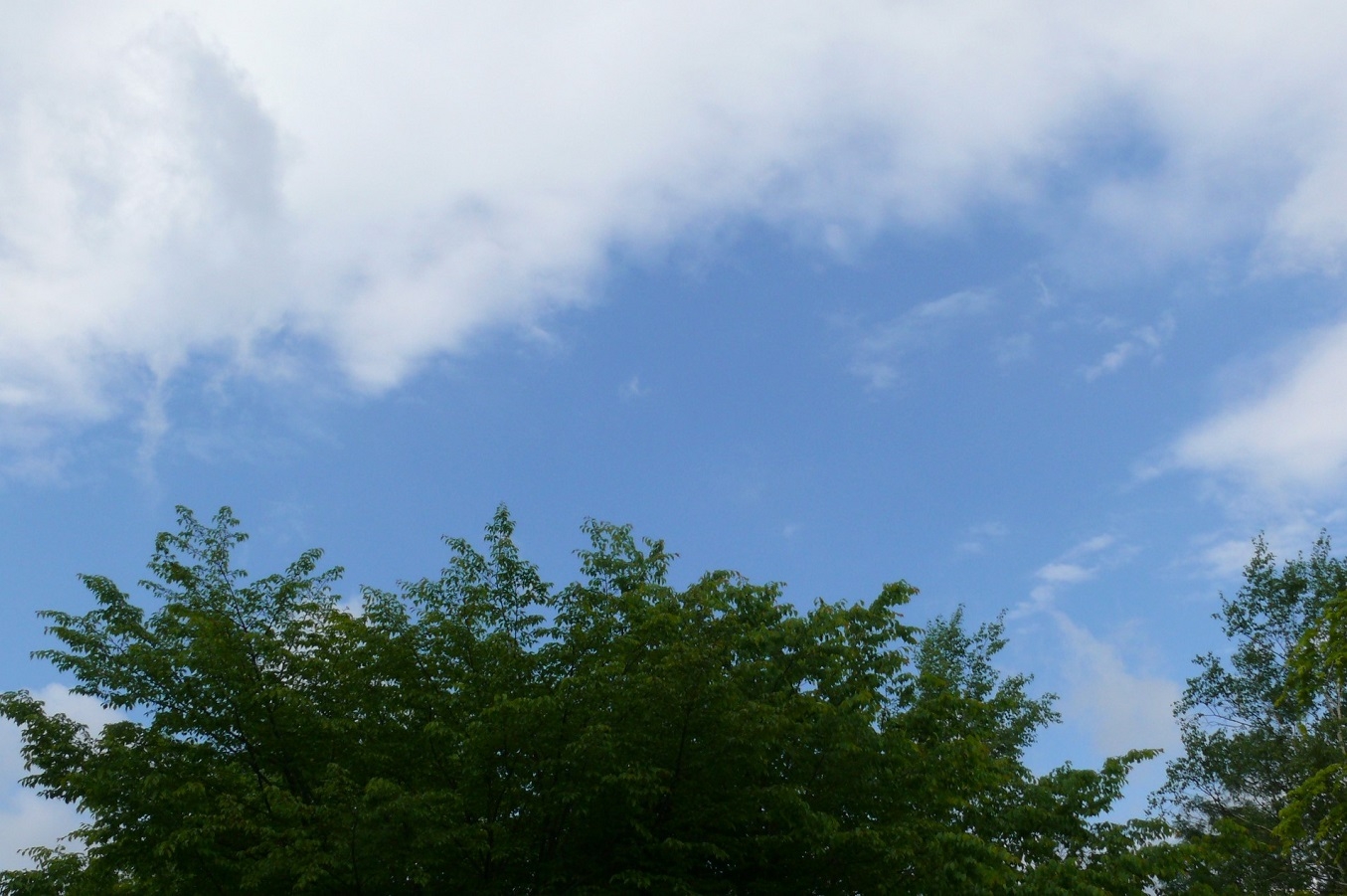 http://www.alpico.co.jp/shikinomori/news/images/P1420741.JPG
