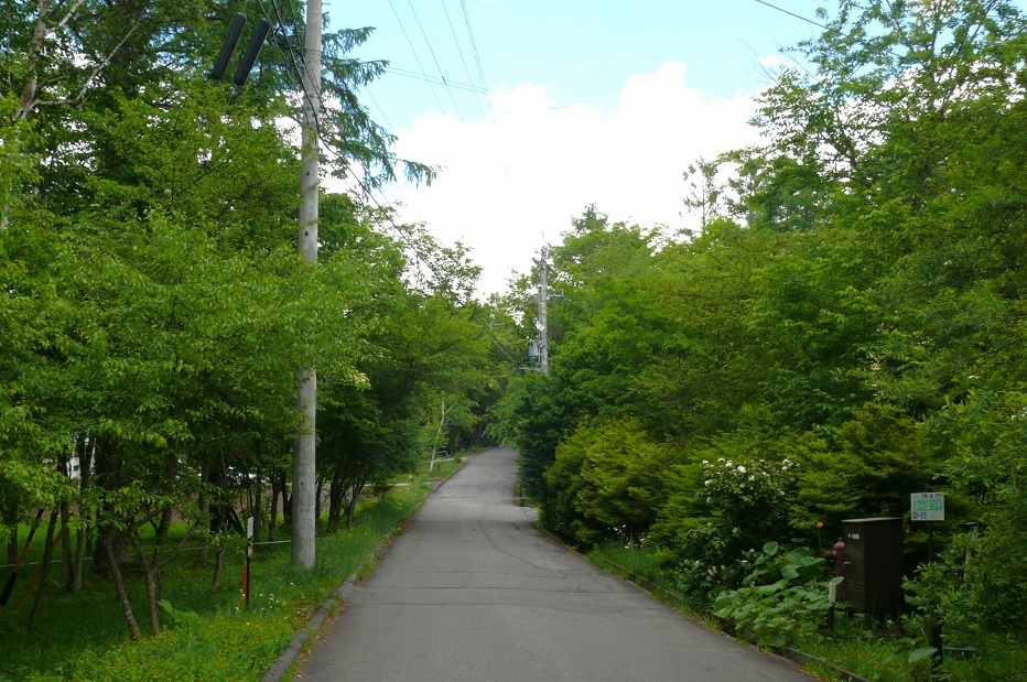http://www.alpico.co.jp/shikinomori/news/images/P1420823.JPG