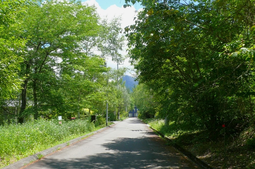 http://www.alpico.co.jp/shikinomori/news/images/P1430142.JPG