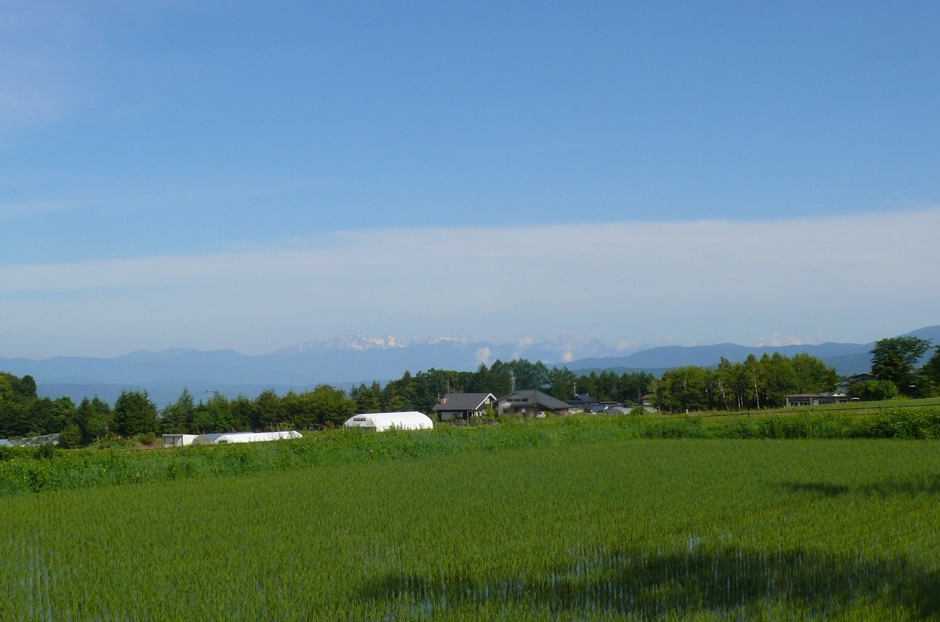 http://www.alpico.co.jp/shikinomori/news/images/P1430162.JPG