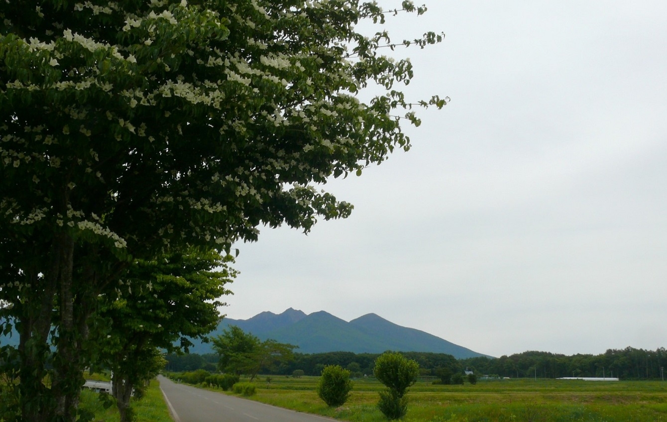 http://www.alpico.co.jp/shikinomori/news/images/P1430192.JPG