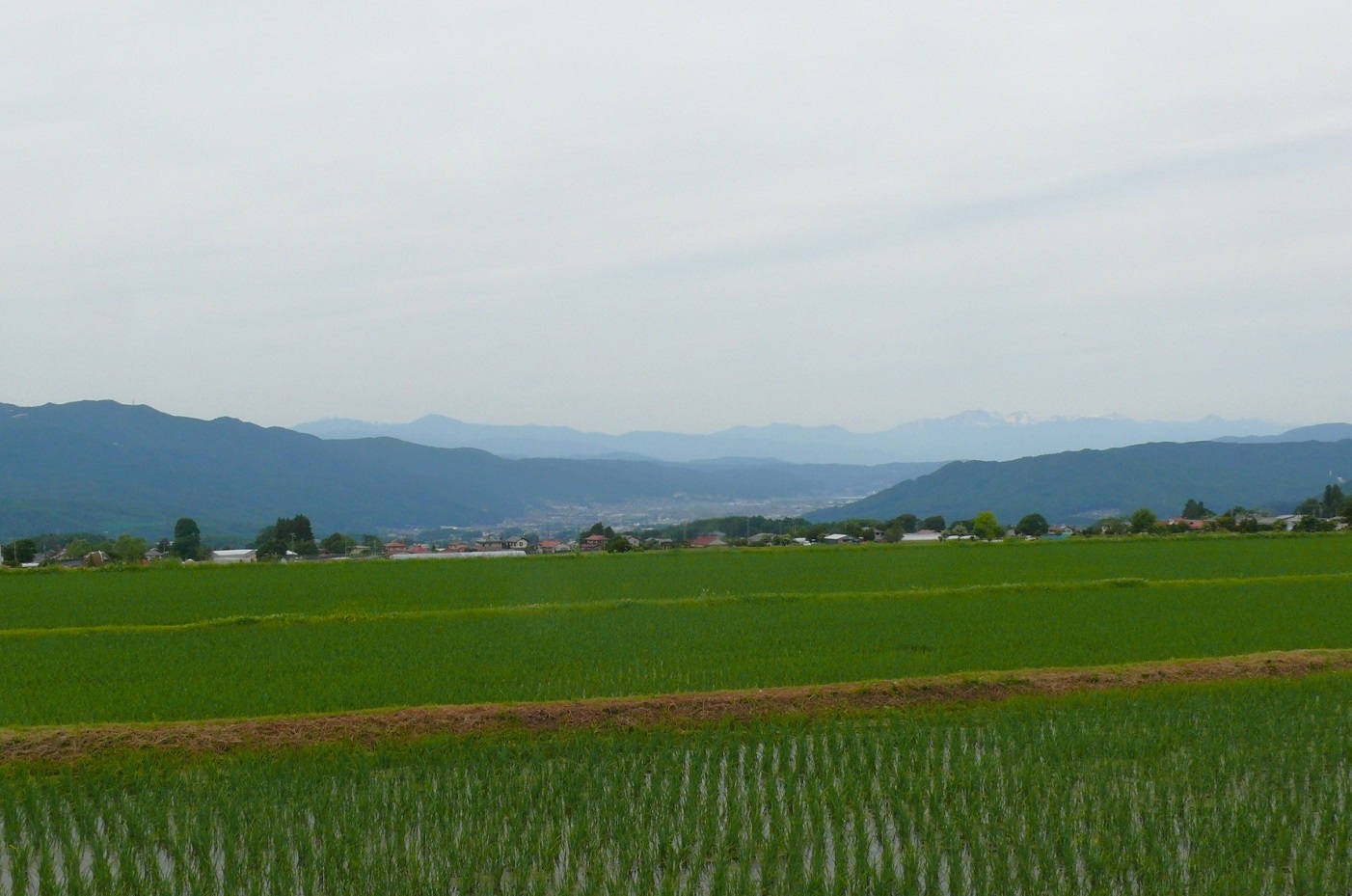 http://www.alpico.co.jp/shikinomori/news/images/P1430195.JPG