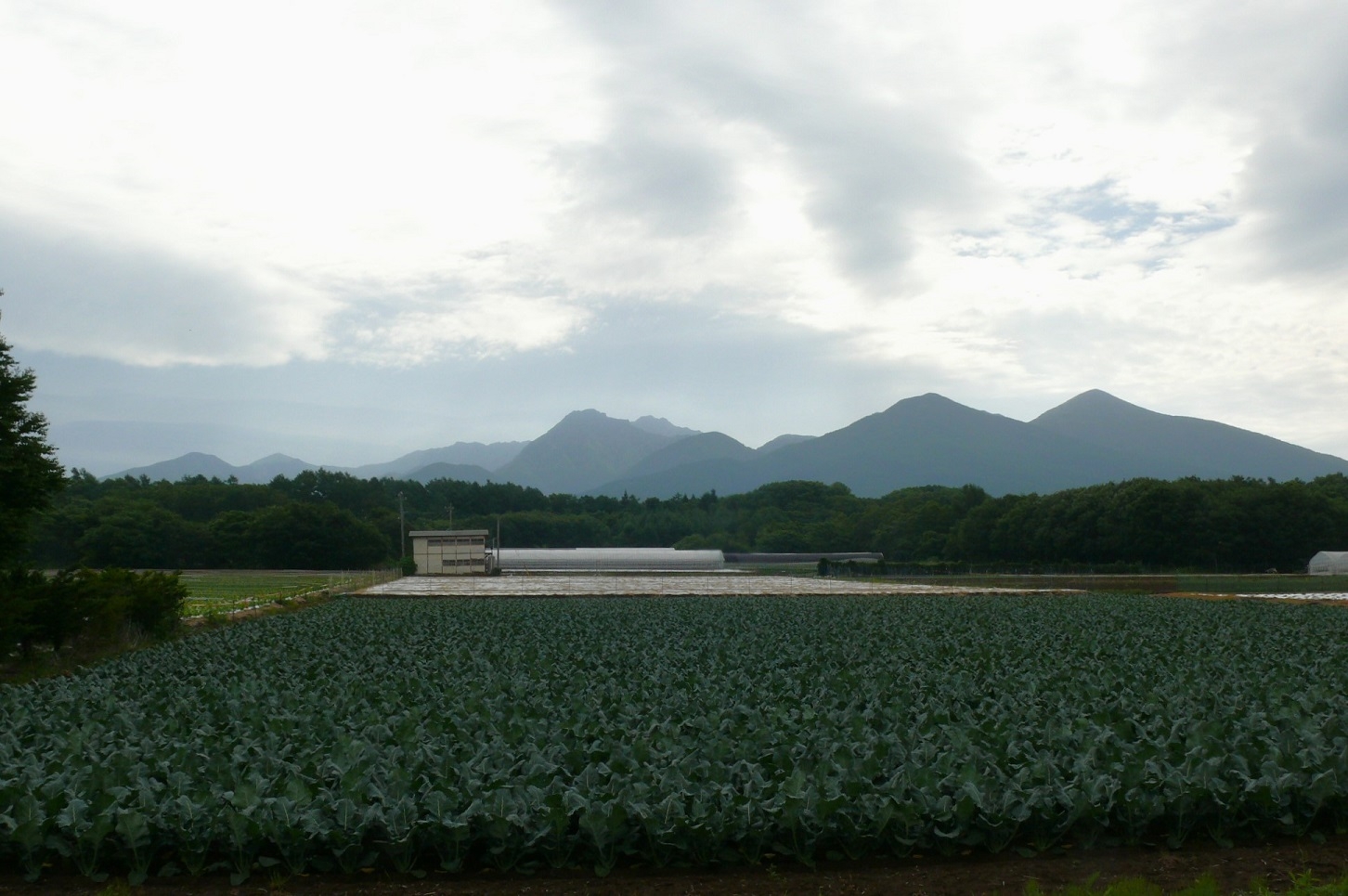 http://www.alpico.co.jp/shikinomori/news/images/P1430521.JPG
