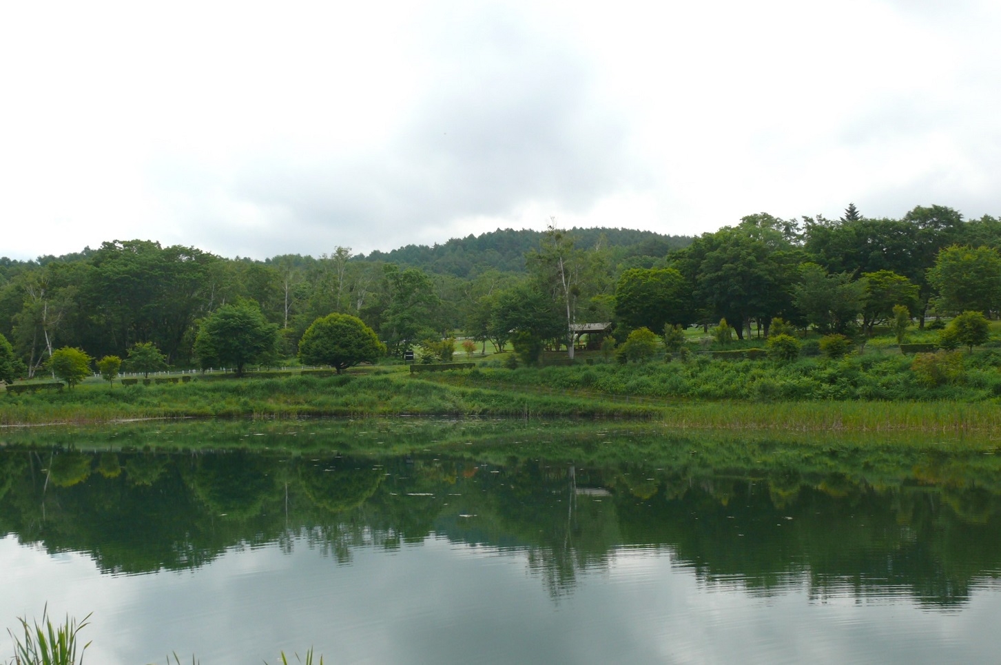 http://www.alpico.co.jp/shikinomori/news/images/P1430560.JPG