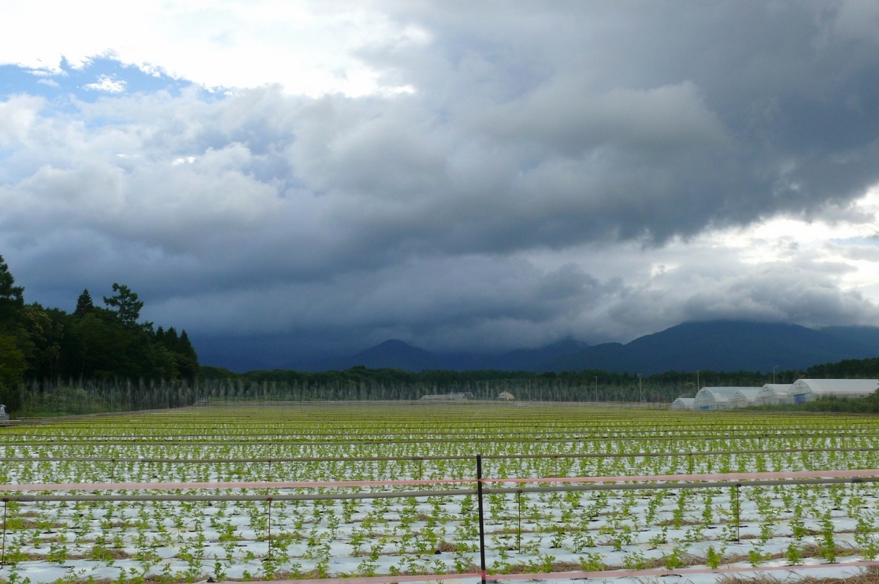 http://www.alpico.co.jp/shikinomori/news/images/P1430793.JPG