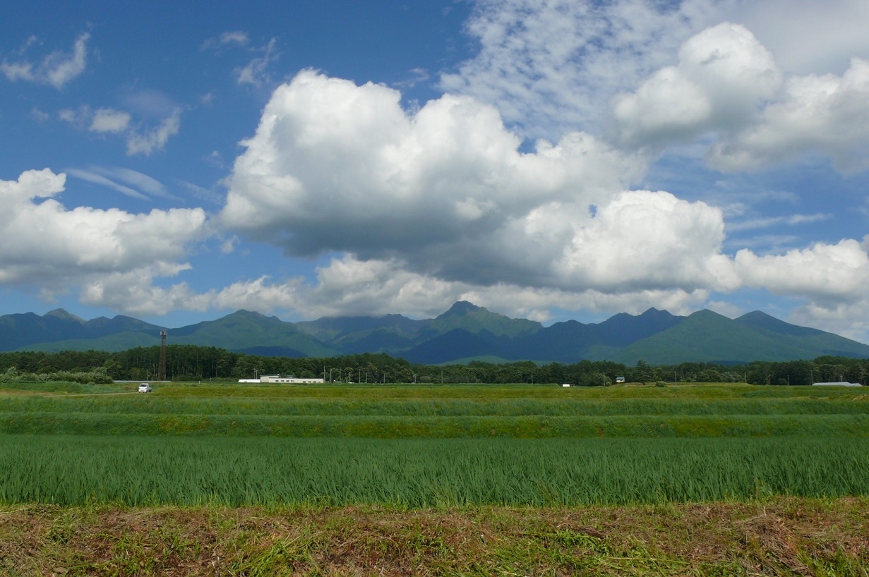 http://www.alpico.co.jp/shikinomori/news/images/P1430854.JPG