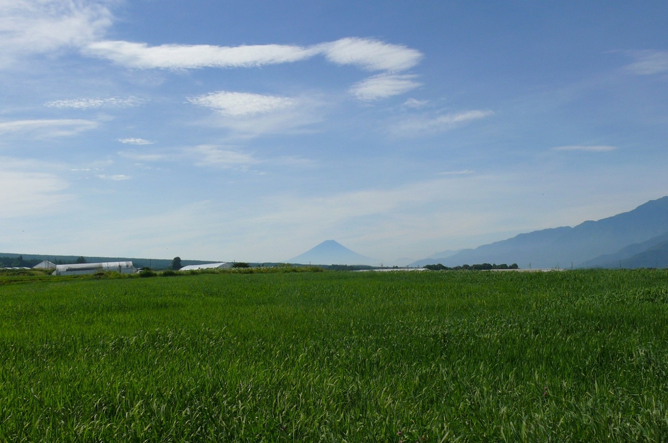 http://www.alpico.co.jp/shikinomori/news/images/P1430864.JPG