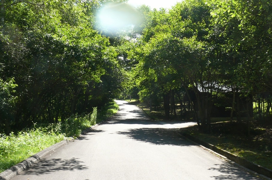 http://www.alpico.co.jp/shikinomori/news/images/P1430906.JPG