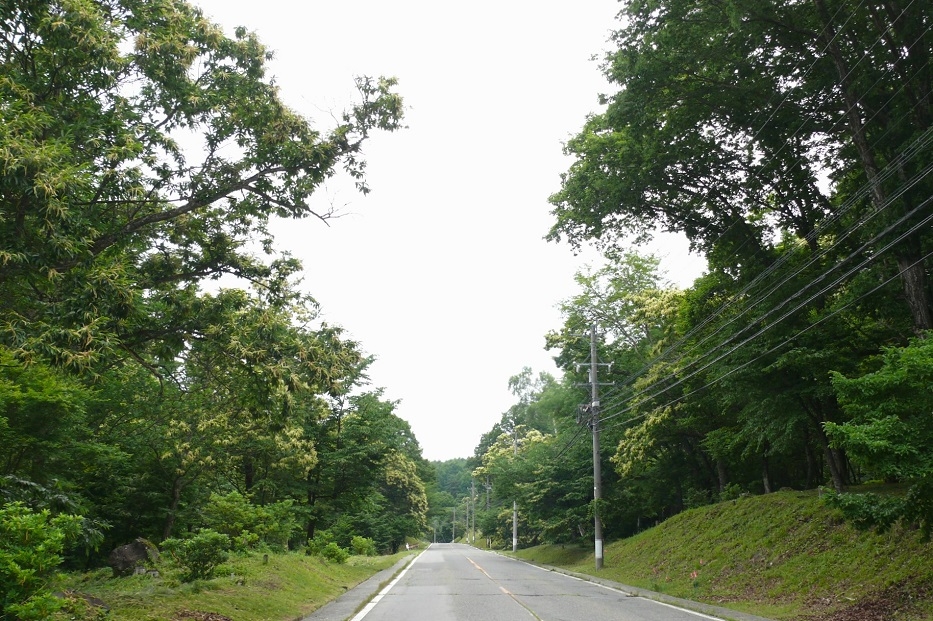 http://www.alpico.co.jp/shikinomori/news/images/P1430928.JPG