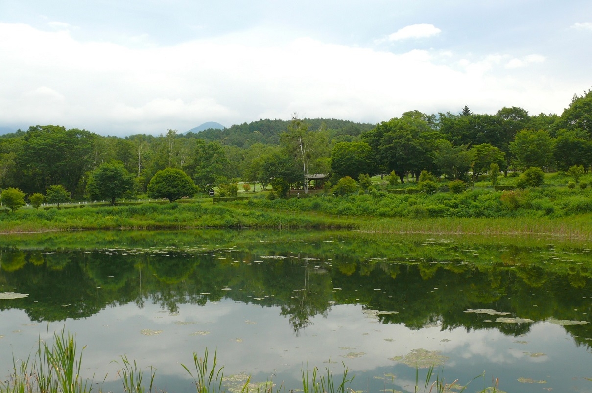 http://www.alpico.co.jp/shikinomori/news/images/P1430933.JPG