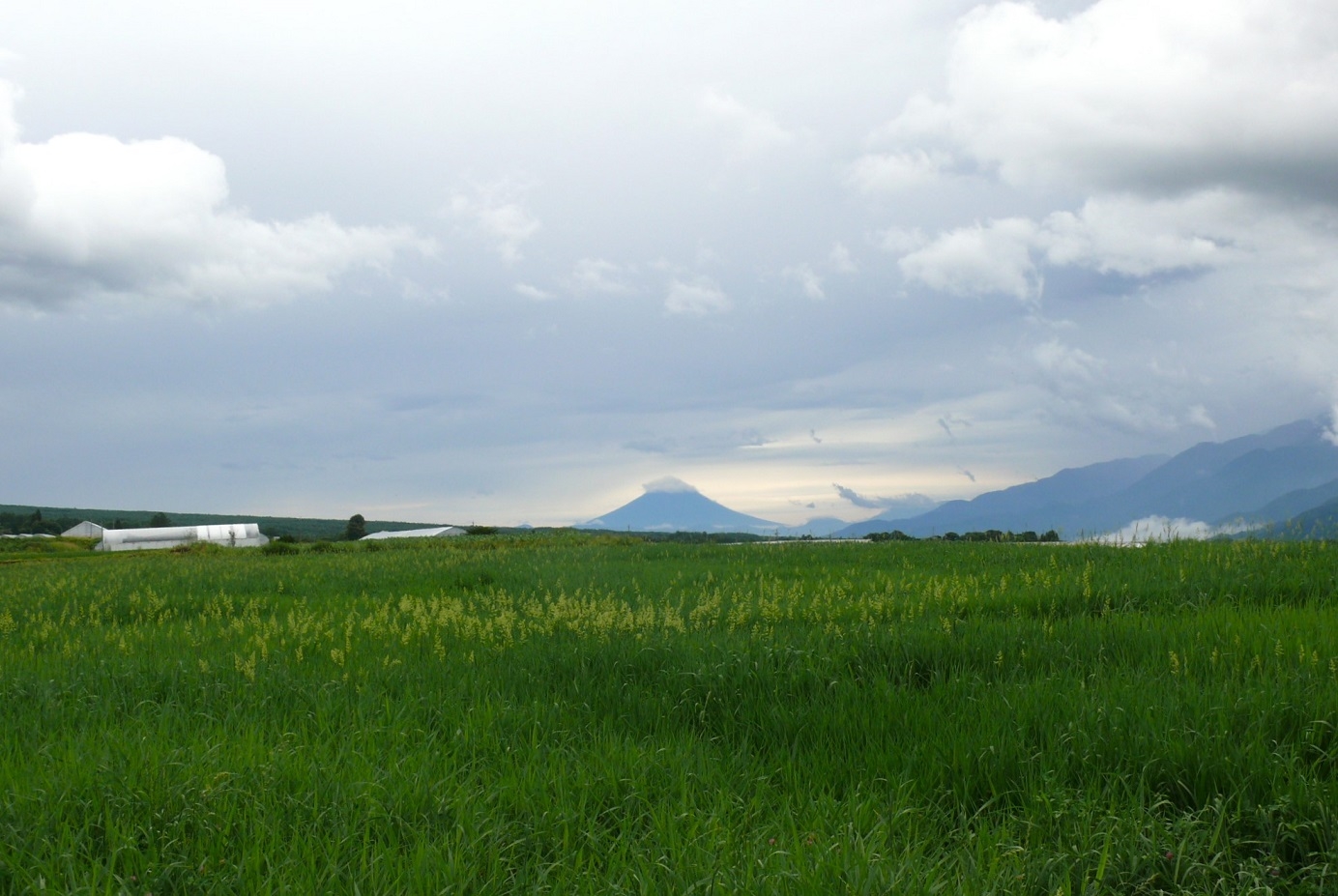 http://www.alpico.co.jp/shikinomori/news/images/P1430985.JPG