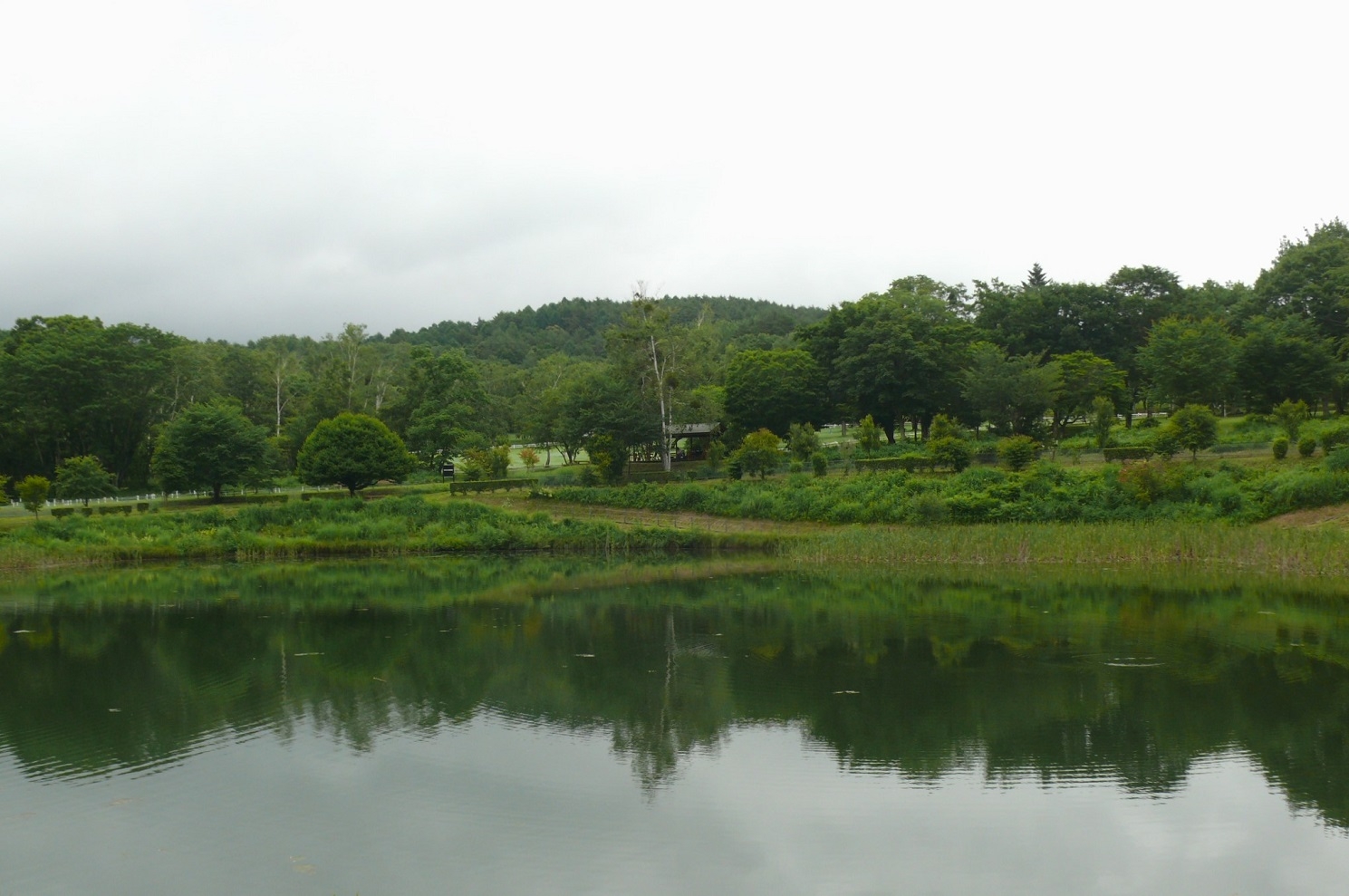 http://www.alpico.co.jp/shikinomori/news/images/P1440133.JPG