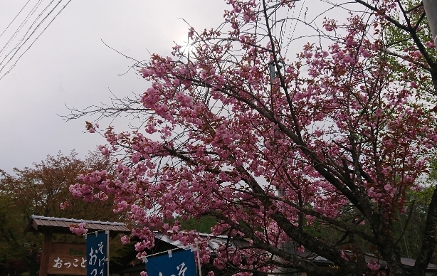 http://www.alpico.co.jp/shikinomori/news/images/_20200509_140110.JPG