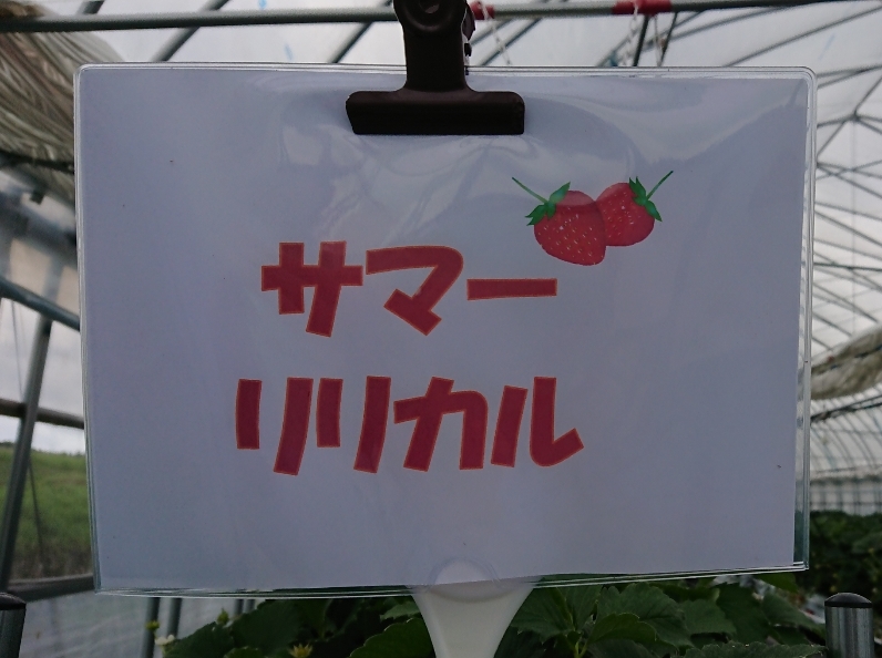 http://www.alpico.co.jp/shikinomori/news/images/_20200710_115316.JPG