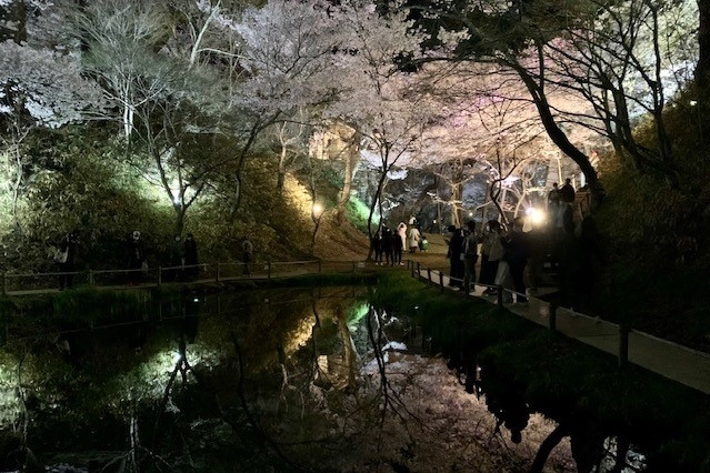 http://www.alpico.co.jp/shikinomori/news/images/a6a2d4ac579b2173d784558c49f522b51c6b115a.jpg
