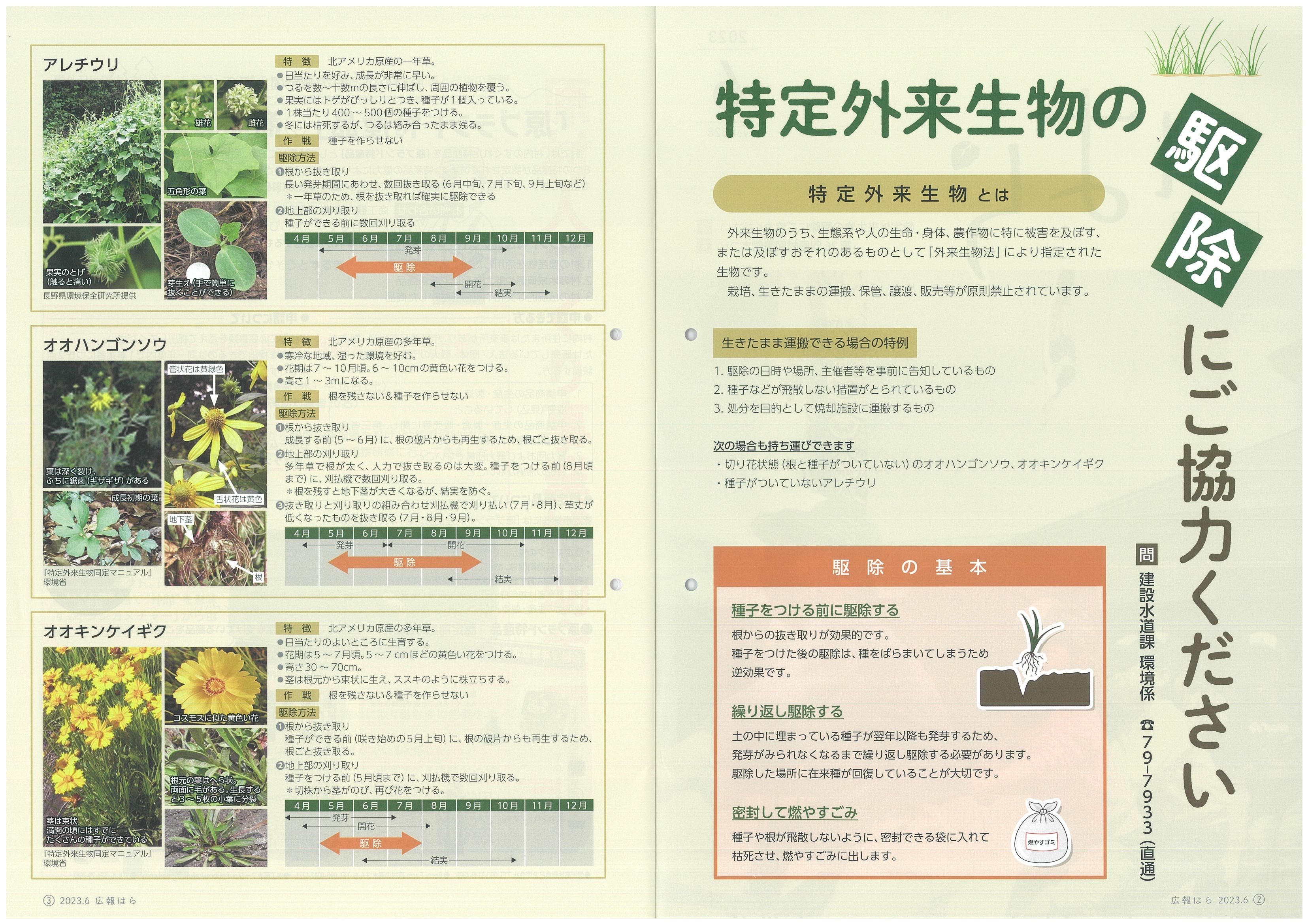 http://www.alpico.co.jp/shikinomori/news/images/ab0ca406f2e6c6d2d54c47b887cdc687c742640e.jpg