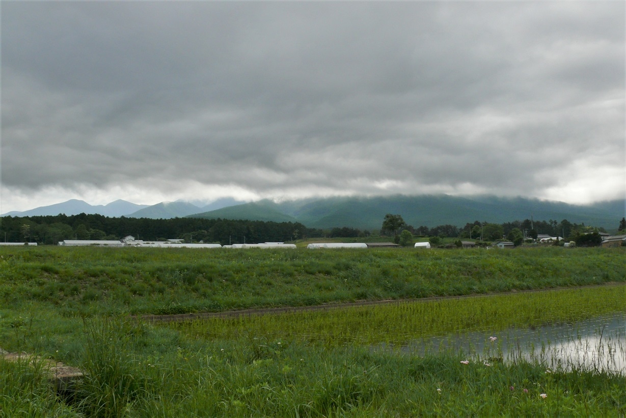 http://www.alpico.co.jp/shikinomori/news/images/ad076c981a78e44a70c9dda18907097861f4e510.JPG