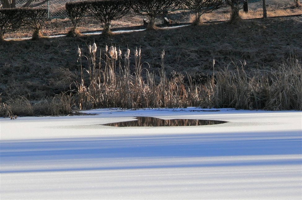 http://www.alpico.co.jp/shikinomori/news/images/b471ff279c79812222f7e8a93cfd39504c1ce5ca.JPG