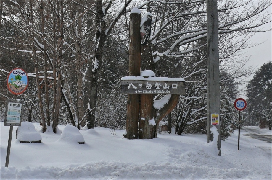 http://www.alpico.co.jp/shikinomori/news/images/b82330ef769136bbe6751b4692c110b40e5a0759.JPG