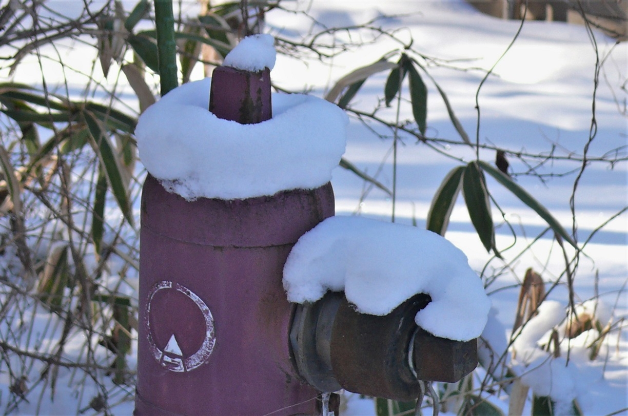 http://www.alpico.co.jp/shikinomori/news/images/c18db82243ca91bc17ea9ee1d4713c13ddfce4e1.JPG