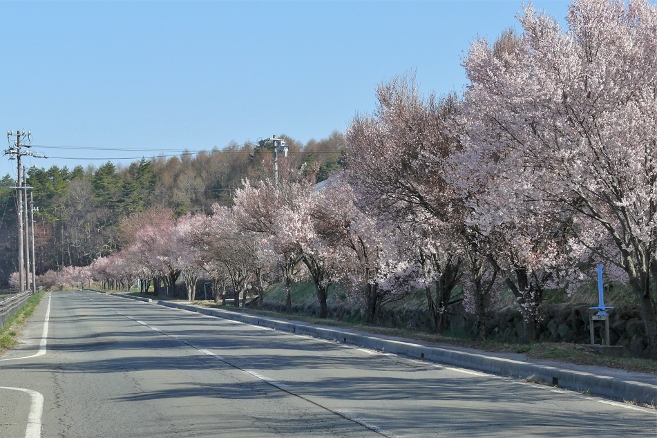 http://www.alpico.co.jp/shikinomori/news/images/d45dcc52a7c5f61395edc9d31a79b50fa5aa605f.JPG