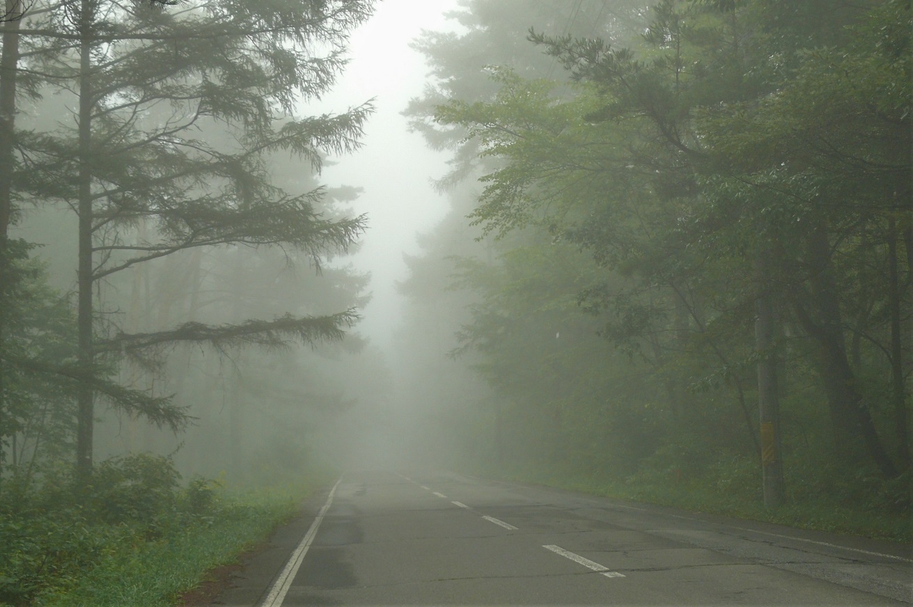 http://www.alpico.co.jp/shikinomori/news/images/d57b3c5bcc909c4c31ee6648be476000785d85ae.JPG