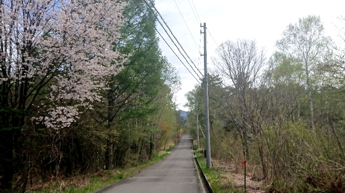 http://www.alpico.co.jp/shikinomori/news/images/d67bd927024b547b198ba257a329eda72017e3f5.JPG