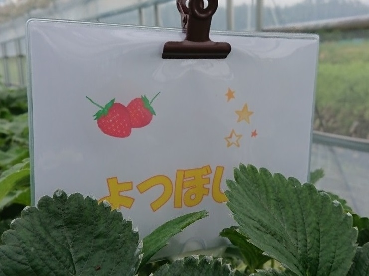 http://www.alpico.co.jp/shikinomori/news/images/db9f9218a8dd090d0ca0e4f435a7a96a279f0633.JPG