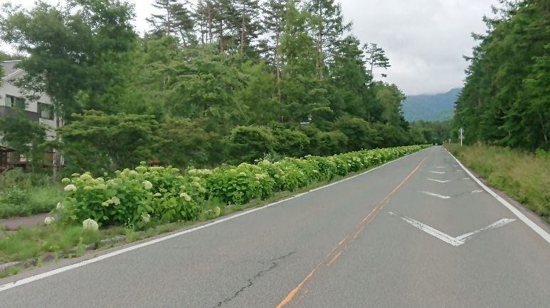 http://www.alpico.co.jp/shikinomori/news/images/ea8ce2c8e1afce830f4585834144cf8867e8373e.JPG