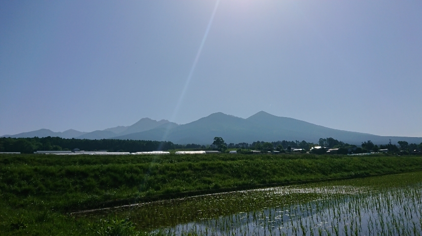 http://www.alpico.co.jp/shikinomori/news/images/f40309776daae2e21ddd3e8e7bacd33cb38bbdad.JPG