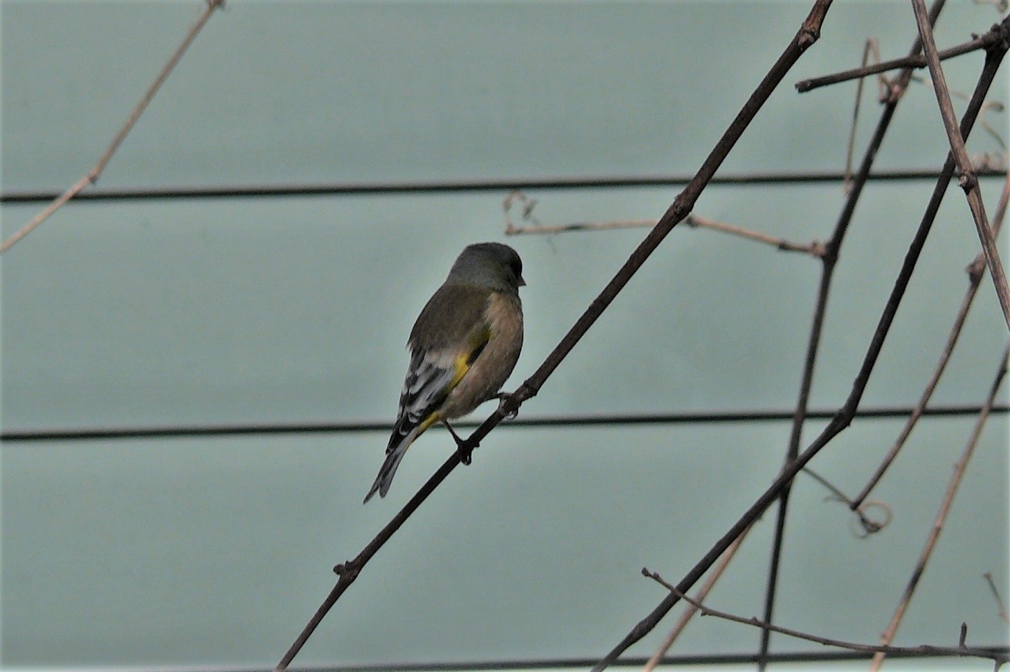 http://www.alpico.co.jp/shikinomori/news/images/f7855864b836dd33744c9b7d1162cd57122a2648.JPG