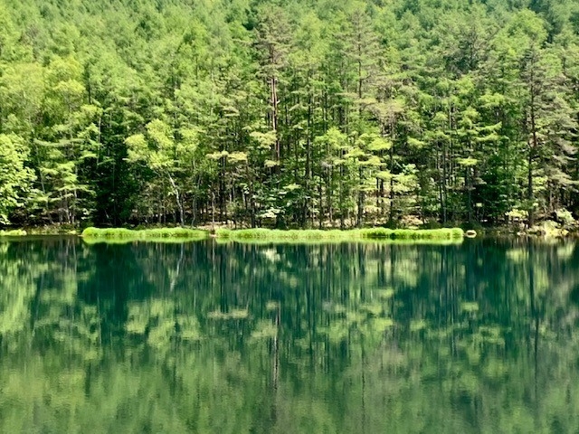 http://www.alpico.co.jp/shikinomori/news/images/fc3c12b737e899147c8a23a70d292e8e9241fa3f.jpg
