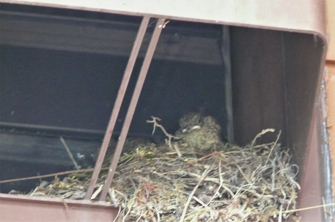 http://www.alpico.co.jp/shikinomori/news/images/fc4ae28cff863c38bdeb98632b450f94c4607b43.JPG