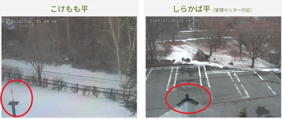http://www.alpico.co.jp/shikinomori/news/images/hyouji.jpg