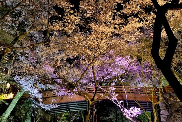 http://www.alpico.co.jp/shikinomori/news/images/line_63608779527140.jpg