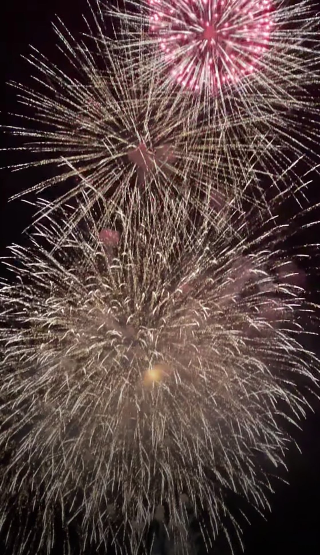 http://www.alpico.co.jp/shikinomori/news/images/tateshinahanabi2024_003.jpg