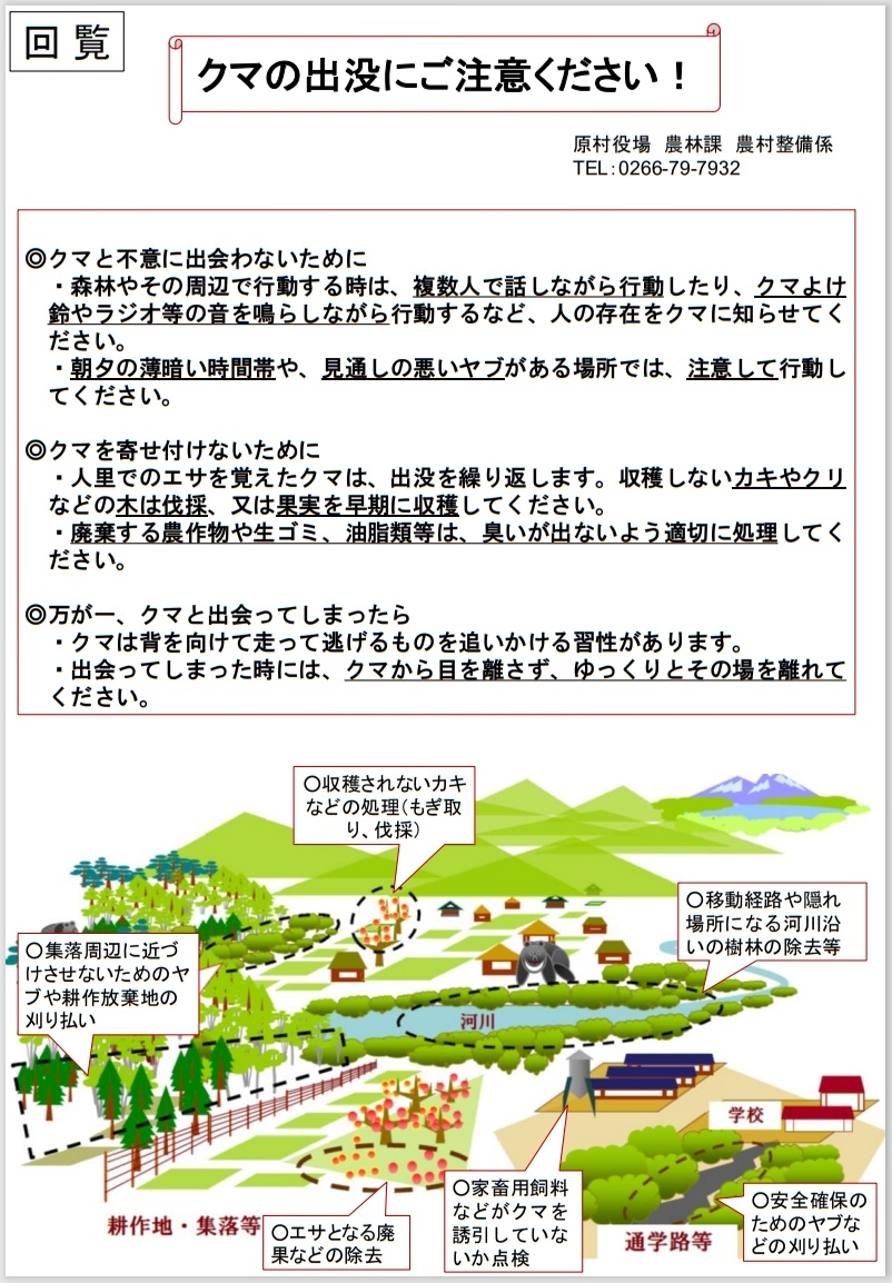 http://www.alpico.co.jp/shikinomori/news/kuma202508.jpg