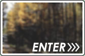 ENTER