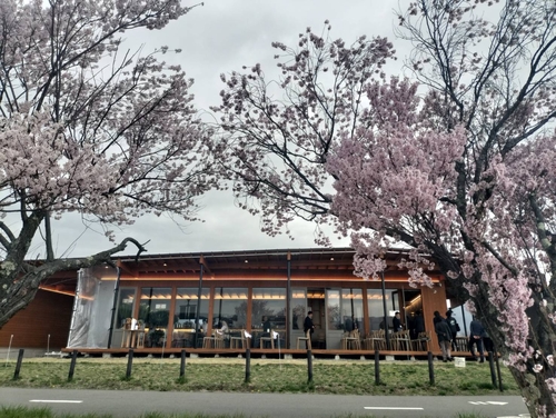 メディア (25) (2).jpg