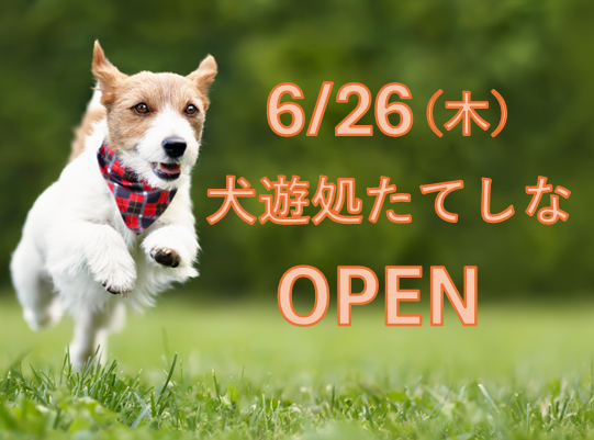 スクリーンショット 2025-06-22 170343.png