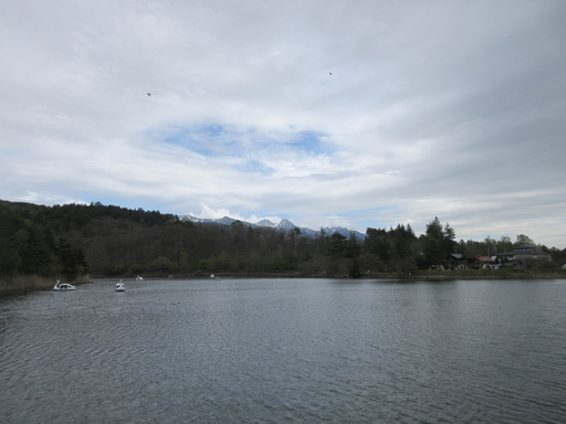IMG_2460.JPG