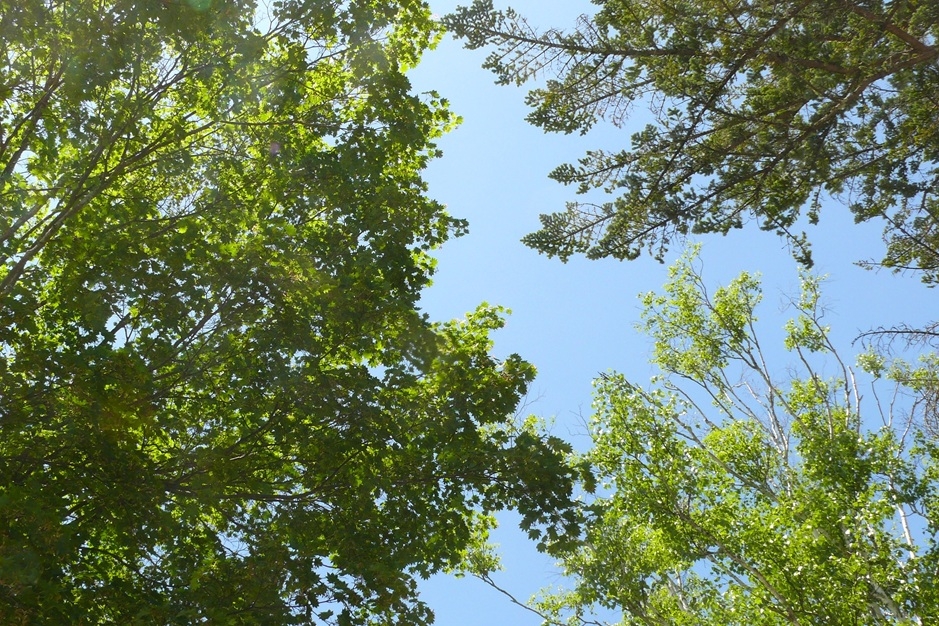 P1440421.JPG