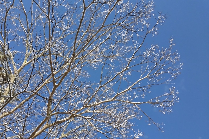 20250309_081837.JPG
