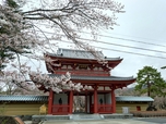 20250423聖光寺②.JPG
