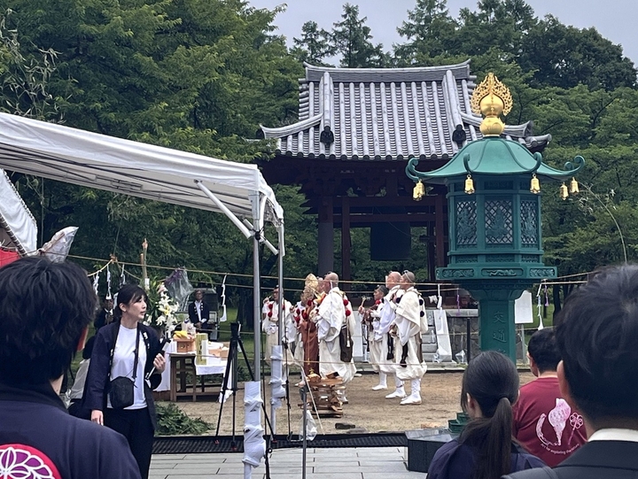 IMG_3812.jpeg