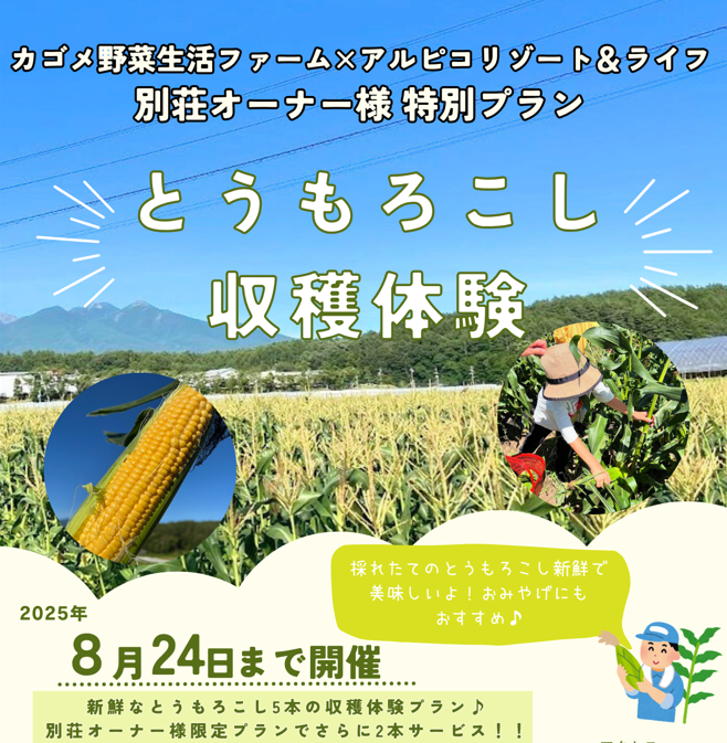 スクリーンショット 2025-08-06 135328.png