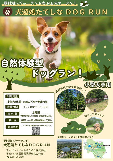 犬遊処たてしなドッグランチラシ-1.png