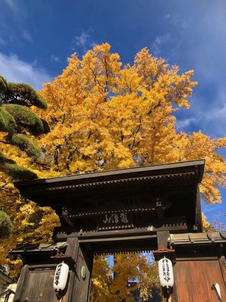 佛法紹隆寺 (5) 2.jpg