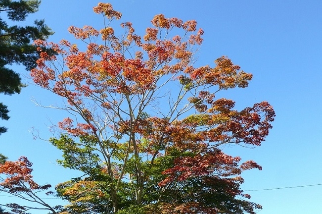 P1440296.JPG